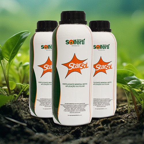 WhatsApp Image 2024-08-29 at 18.43.45 (1)