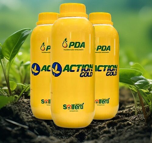 WhatsApp Image 2024-08-29 at 18.43.45