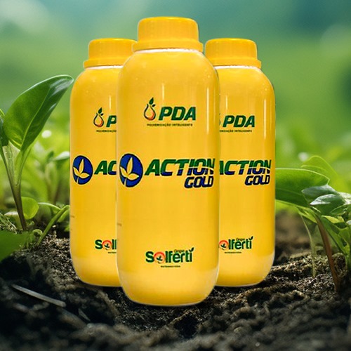 WhatsApp Image 2024-08-29 at 18.43.45