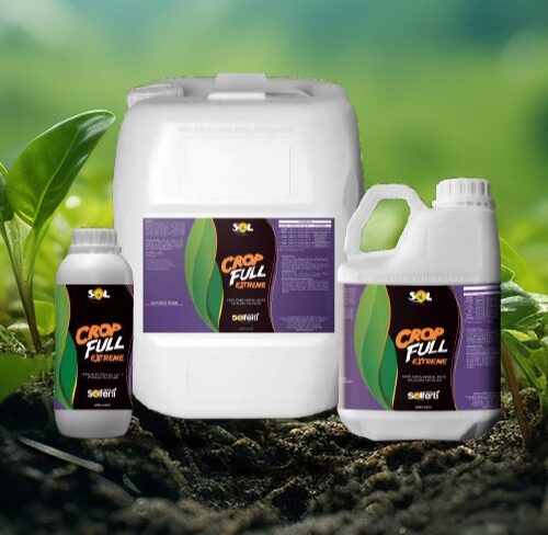 WhatsApp Image 2024-08-29 at 21.37.36 (1)