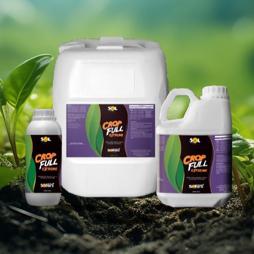 WhatsApp Image 2024-08-29 at 21.37.36 (1)