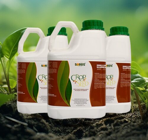 WhatsApp Image 2024-08-29 at 21.37.36