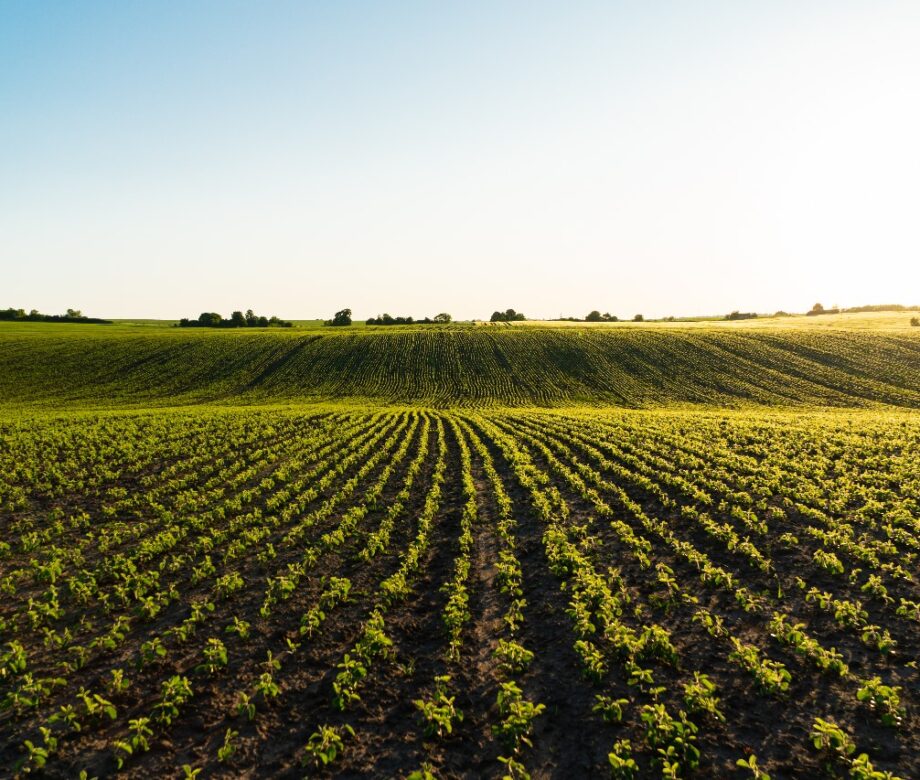 WhatsApp Image 2024-08-29 at 18.00.40